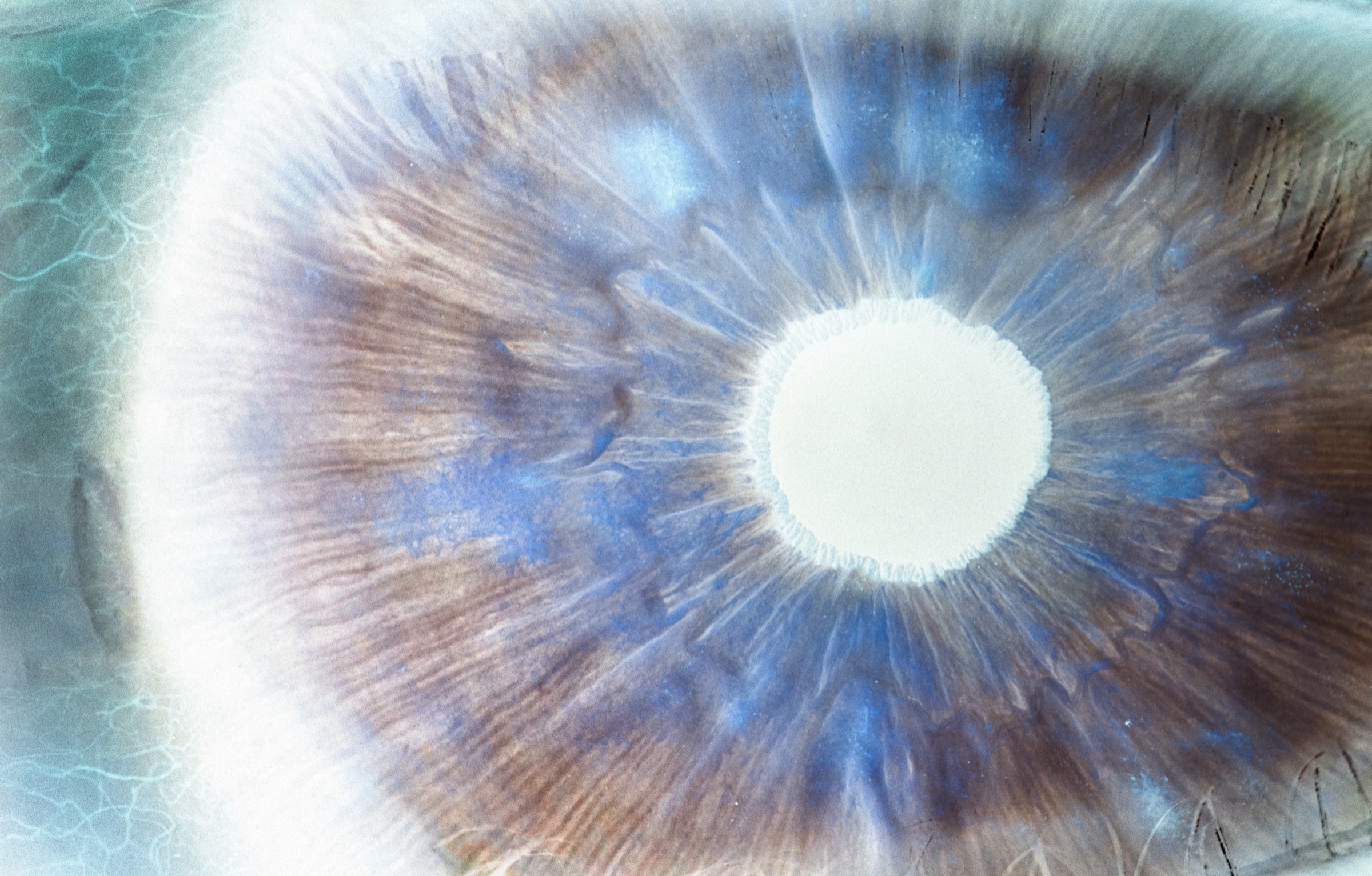 Kosmos, image 3