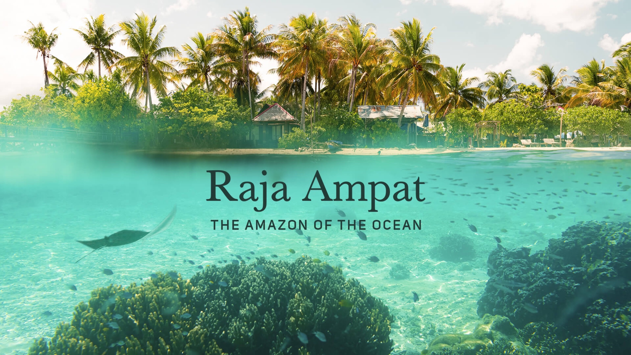 Raja Ampat, image 1